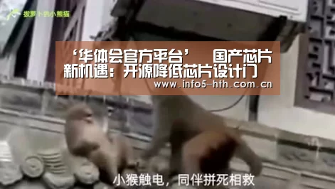 华体会官网下载