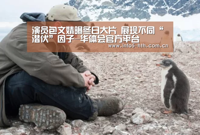 华体会官方平台