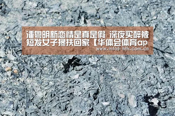 华体会官方网站入口