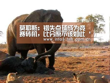 莫耶斯:错失点球成为竞赛转机,比分原不该如此‘华体会体育app下载’(图1) 华体会官网下载