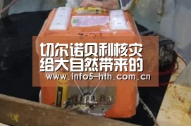 华体会官方网站入口