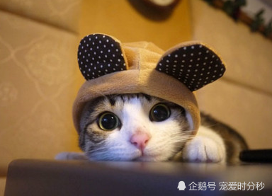 华体会官方平台