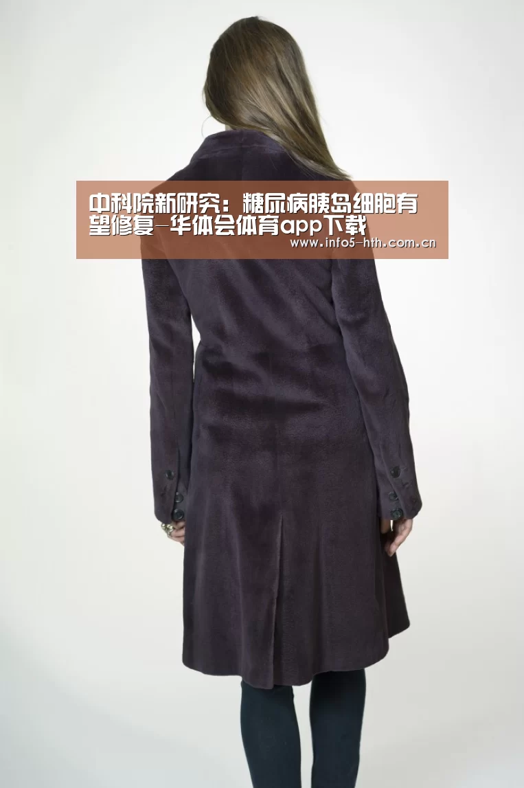 华体会官方网站入口