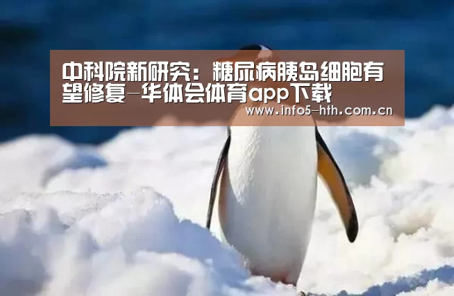 华体会官网下载