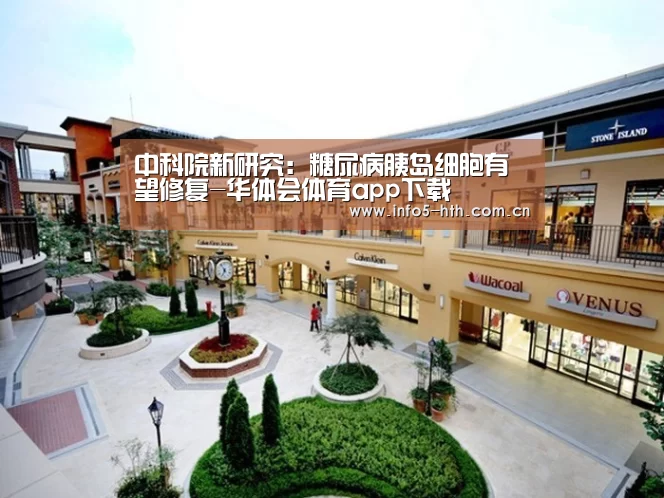 华体会官网下载