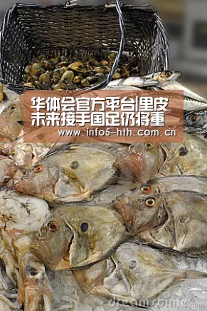 华体会官方平台|里皮未来接手国足仍将重用这位老将!他已成新国足最不可或缺的人(图2) 华体会官方网站入口