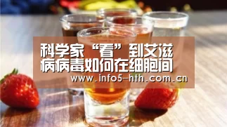 科学家“看”到艾滋病病毒如何在细胞间传播_华体会官网下载(图1) 华体会体育app下载