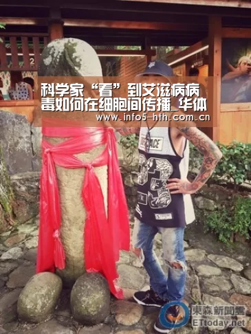 科学家“看”到艾滋病病毒如何在细胞间传播_华体会官网下载(图4) 华体会体育app下载