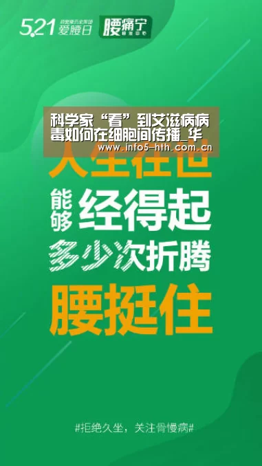 科学家“看”到艾滋病病毒如何在细胞间传播_华体会官网下载(图2) 华体会官方网站入口