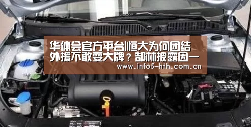 华体会官方平台|恒大为何团结外援不敢耍大牌?郜林披露因一带头大哥(图1) 华体会体育app下载